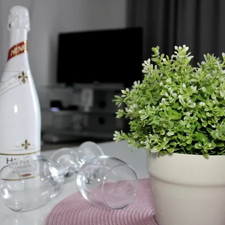 Apartmán Melassy 2 *
